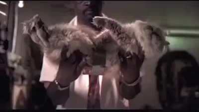do yall like cats?