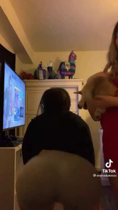 birthday twerk