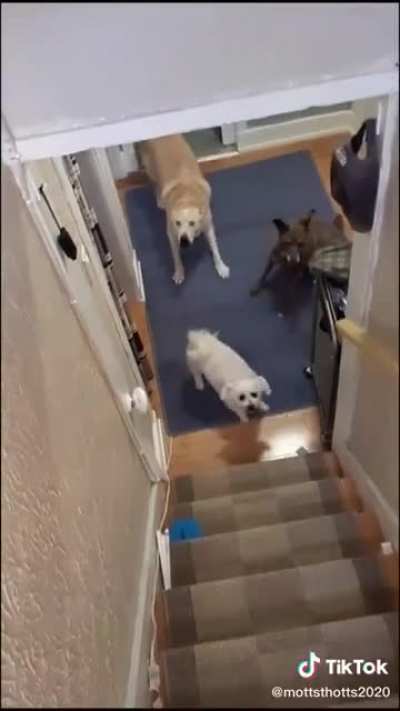 This house is a prison