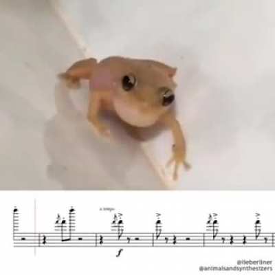 pu p&iacute;