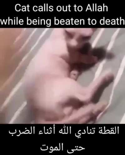 Allah