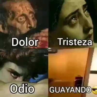DOLOR / TRISTEZA / ODIO / GUAYANDO