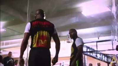 Mayweather vs Beetlejuice