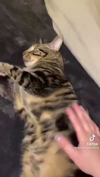 Meow