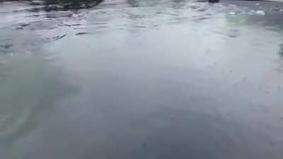 How f******g deep is that dock.