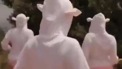 Wtf is this shit