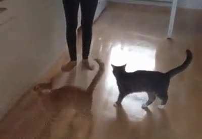 You Saw Nothing!