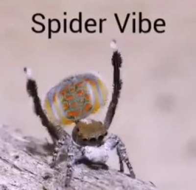 He be vibing