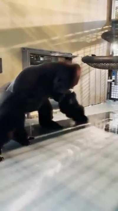 Maybe maybe maybe