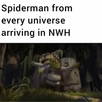 1000 Spiderman lessgoooo