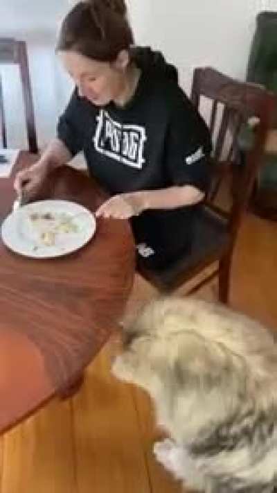 Where&rsquo;s the food
