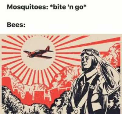 bees