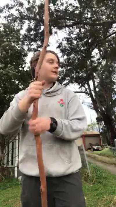 Just find a long stick