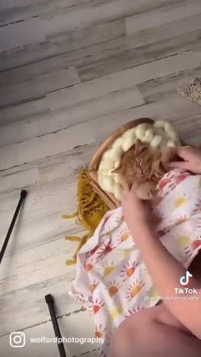The most patient cat that I saw on TikTok, couldn&rsquo;t resist sharing with y&rsquo;all