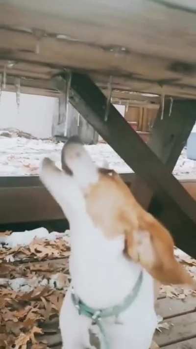 Crunchy :3