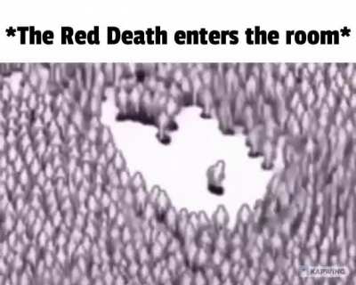 penis balls