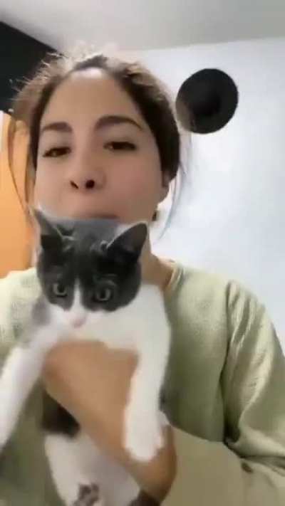 The cat expression ....