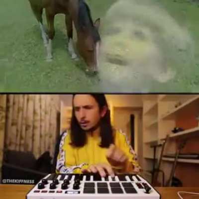 Horse