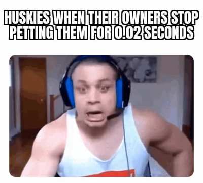 *Starts screaming*