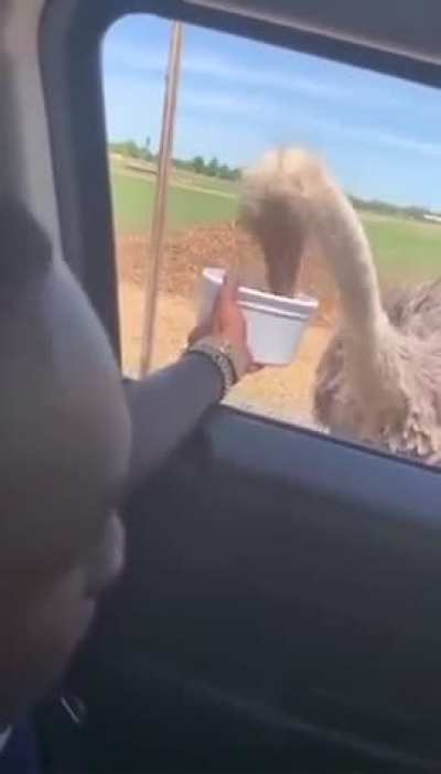 Watch your hands