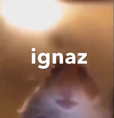 Soeben wurde mir ein Video der Ignaz-Kampagne &uuml;bersendet. Bitte ansehen.