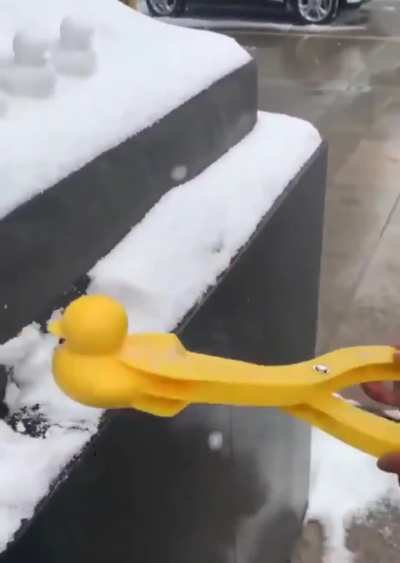 little Cute Snowy Duck!