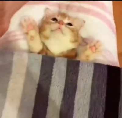 Putting on blankie