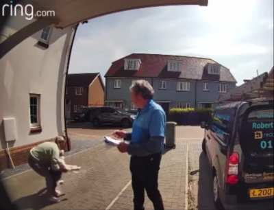 Woman saves dog after it jumped out of a window