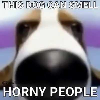 I FOUND THE H&Ouml;R&Ntilde;Y