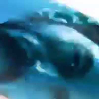 what do the ogre layers mean mason