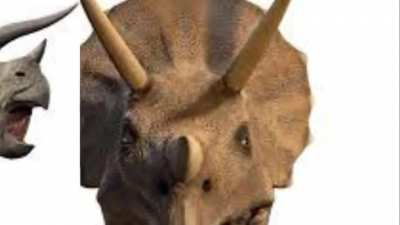My Triceratops Tribute :)