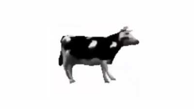 mod post test