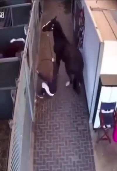That’s a bad day