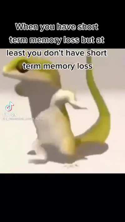 At least I don't have short term memory loss