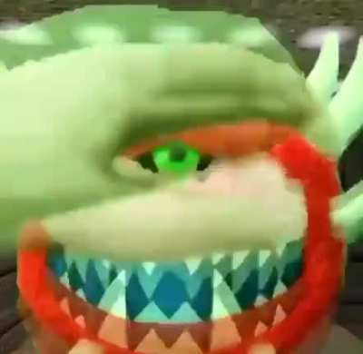 Good caco boi