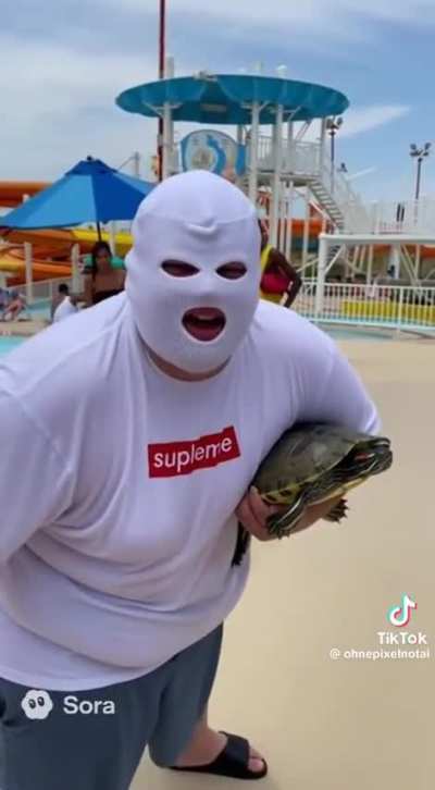 Look what i just found on TikTok