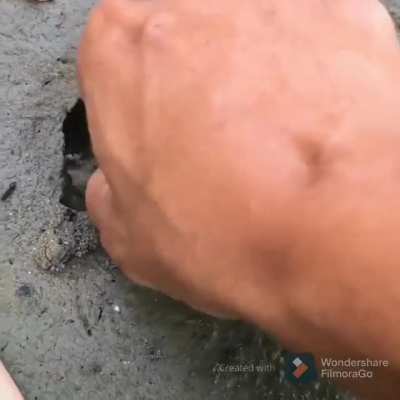 Look, there is something under the ground