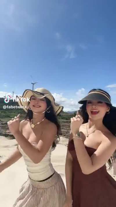 Fabe twins 2
