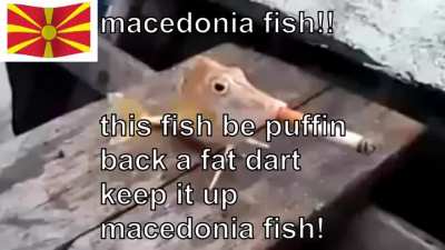 Macezdonia &amp;gt; Grecre, seebjiua, gorgji boosh