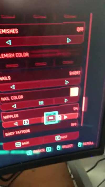 Customizing the CyberNipples