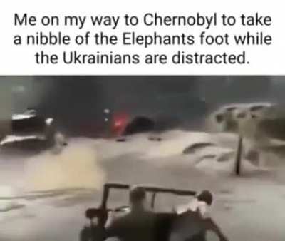 elephant's rule