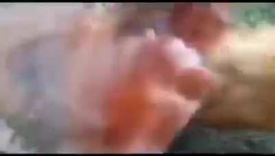 K&Ouml;PEĞİMİN G&Ouml;T&Uuml;NE TAVUK KA&Ccedil;TI