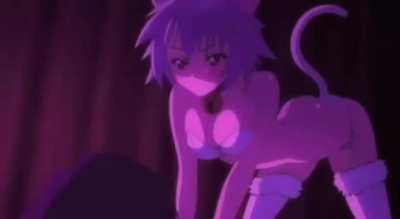 Neko Senpai toying with Kouhai