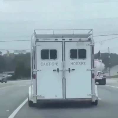 Perfectly cut off gasp?