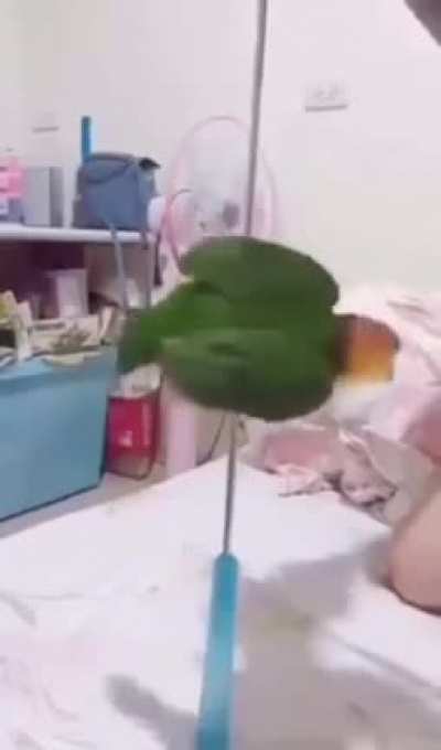 Dancing Like A Stripper &eth;&brvbar;&eth;