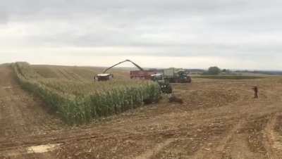 Harvesting..