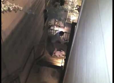 Man yeets raccoon into the abyss&hellip;