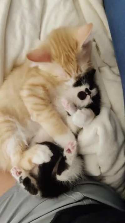 So Precious &hearts;️