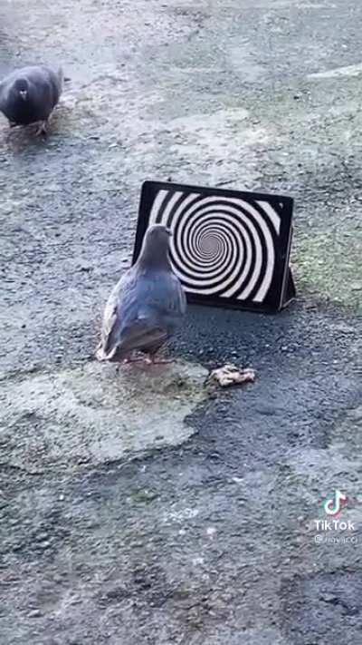 espiral