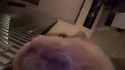 POV Pussy